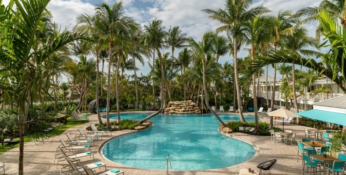 The Pool at Havana Cabana surrounded by palm trees
