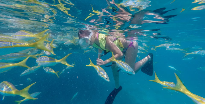 Things To Do In Key West 1