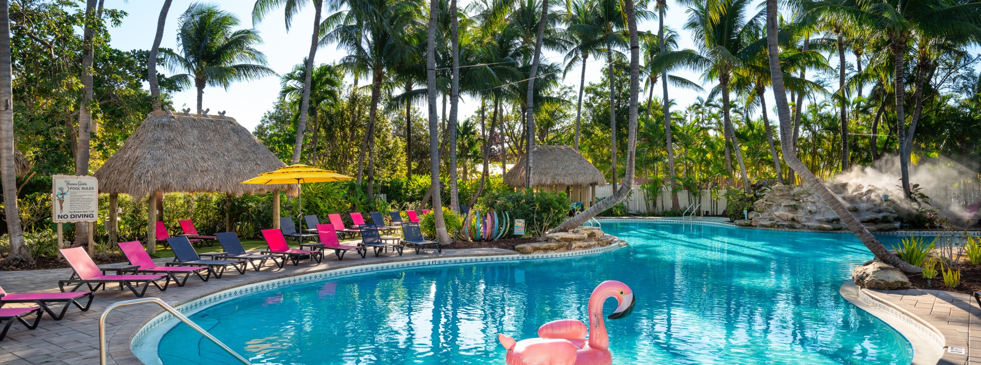Havana Cabana pool surrounded by palm trees and pink loungers
