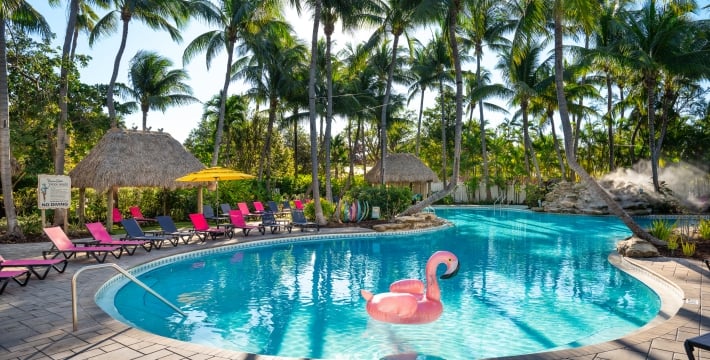 Havana Cabana pool surrounded by palm trees and pink loungers